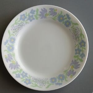 Set Of 2 Like New Corelle Starflowers Discontinued Retired Luncheon Salad Plates